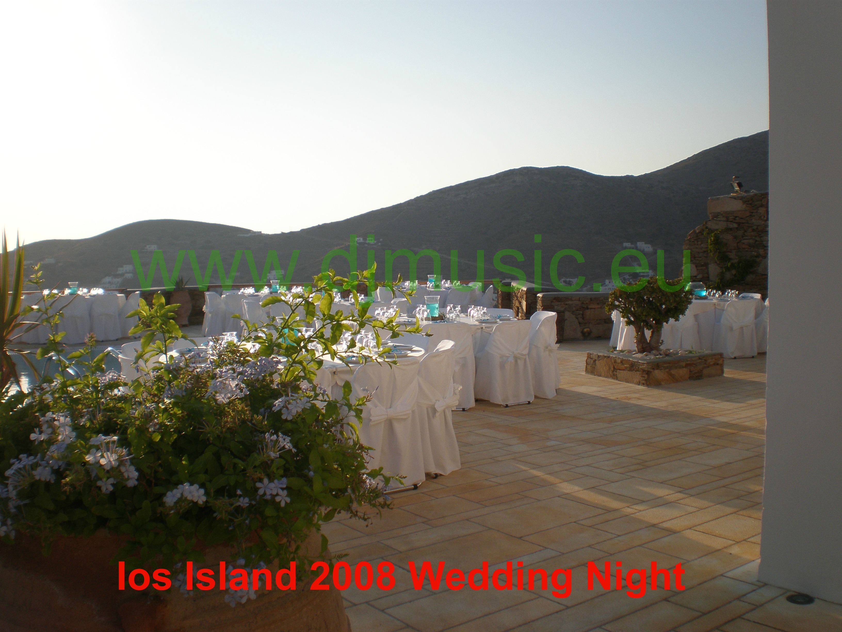 wedding plan